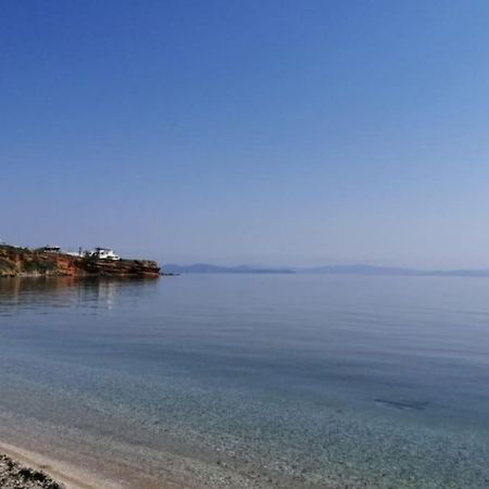 Appartamento Summer House With A Pool Near Sea, Port & Airport Rafína Esterno foto