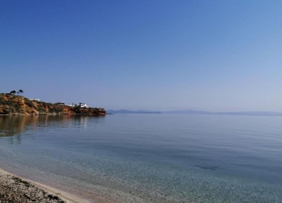 Appartamento Summer House With A Pool Near Sea, Port & Airport Rafína Esterno foto